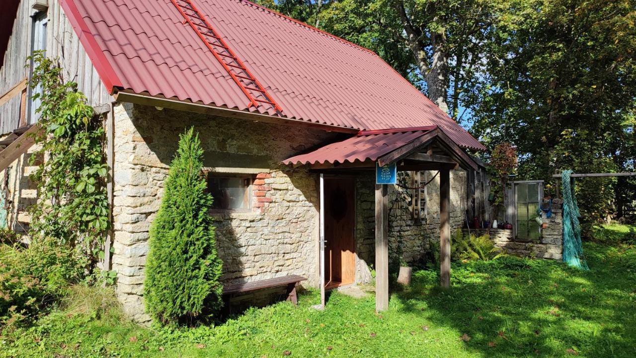 Affittacamere Viini Puhkemaja Mustjala Esterno foto
