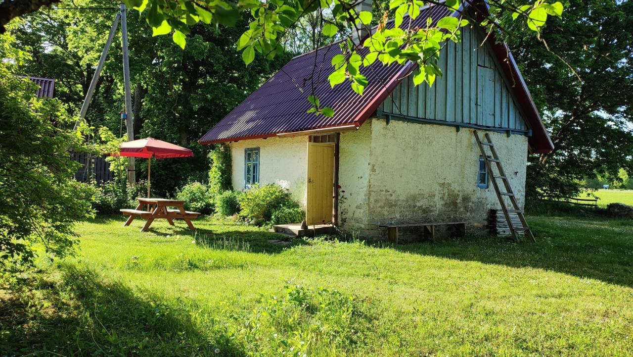 Affittacamere Viini Puhkemaja Mustjala Esterno foto